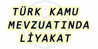 Türk Kamu Mevzuatında Anayasa Süreci